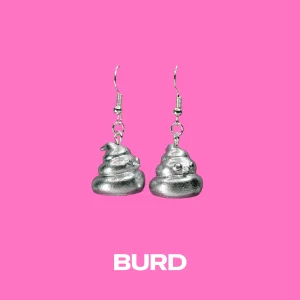 Burd silver earrings on a pink background